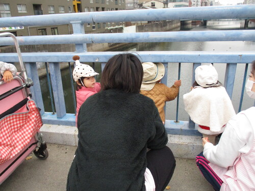 img_20201224-075010.jpg