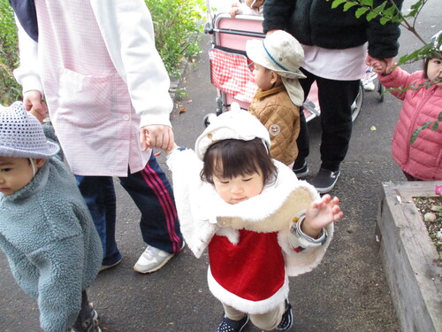 img_20201224-075100.jpg