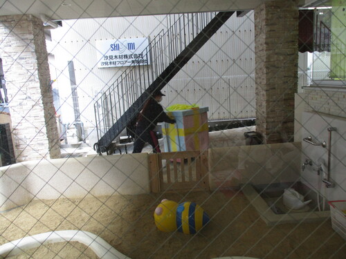img_20201225-045023.jpg
