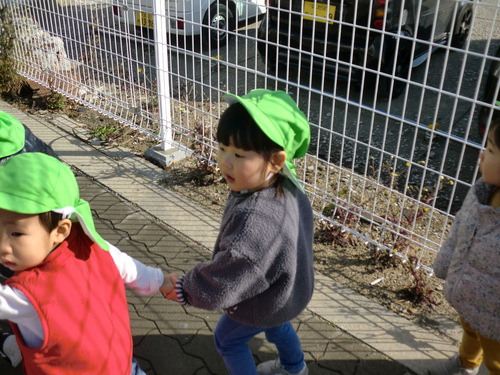 img_20210125-084224.jpg