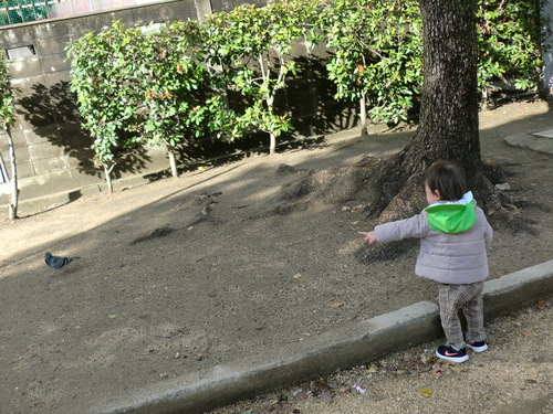 img_20210125-084322.jpg