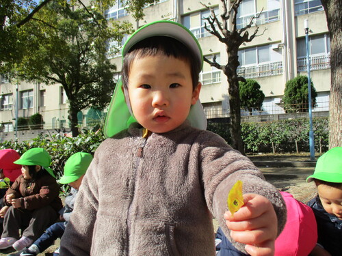 img_20210129-040728.jpg