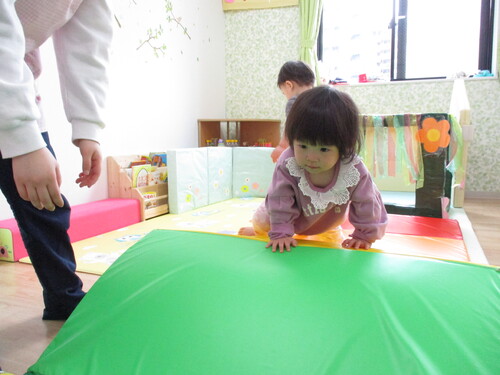 img_20210219-111239.jpg