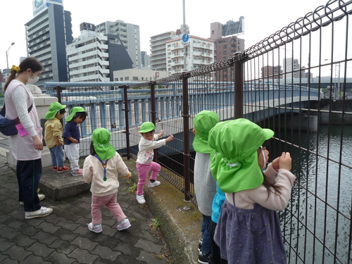 img_20210414-041616.jpg