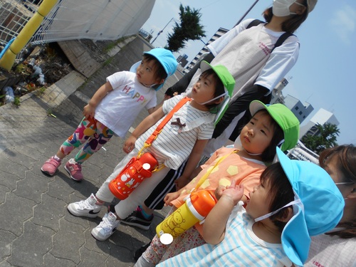 img_20210624-023543.jpg