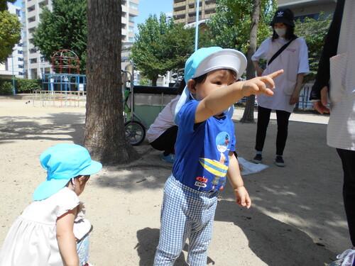 img_20210728-094441.jpg