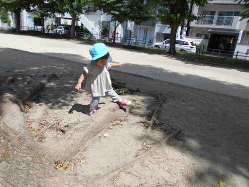 img_20210728-095055.jpg