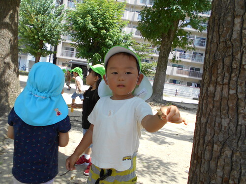 img_20210728-095214.jpg