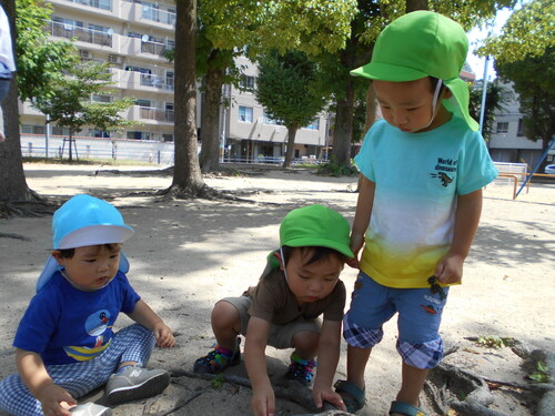 img_20210728-095414.jpg