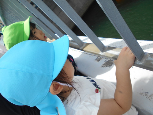 img_20210930-091108.jpg