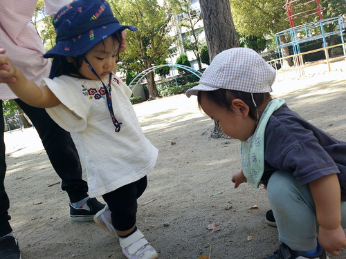 img_20211014-084448.jpg