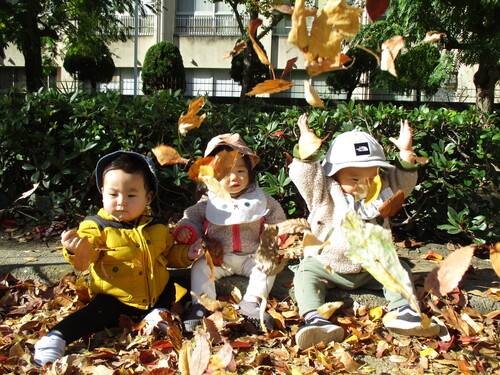 img_20211124-080045.jpg