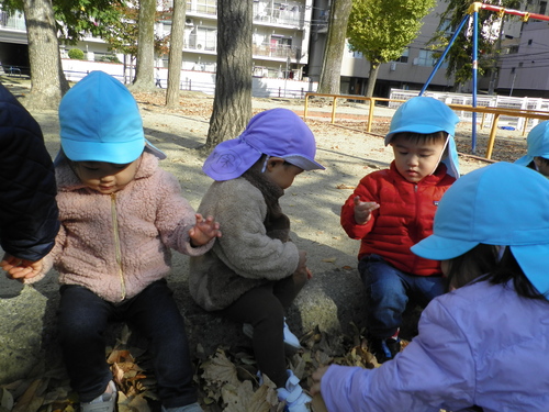 img_20211125-100748.jpg