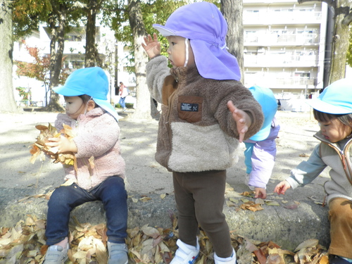img_20211125-100808.jpg