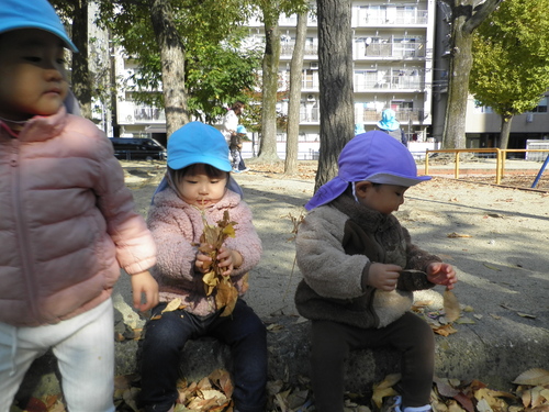 img_20211125-100816.jpg