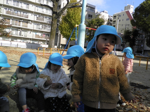 img_20211125-100829.jpg