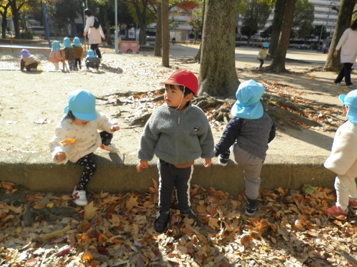 img_20211125-101005.jpg
