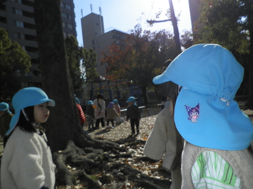 img_20211125-101032.jpg