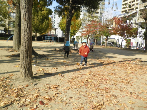 img_20211125-101118.jpg