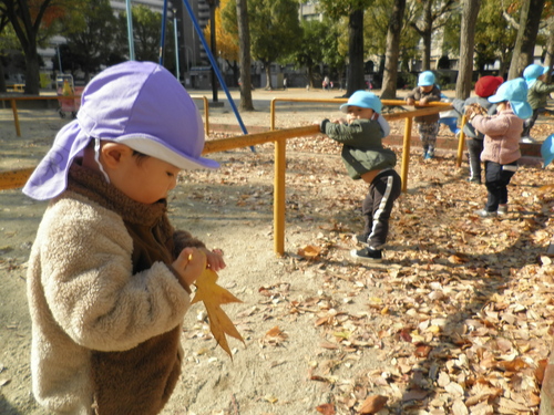 img_20211125-101527.jpg