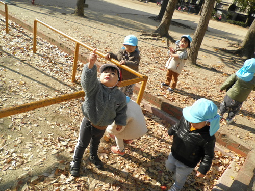 img_20211125-101611.jpg