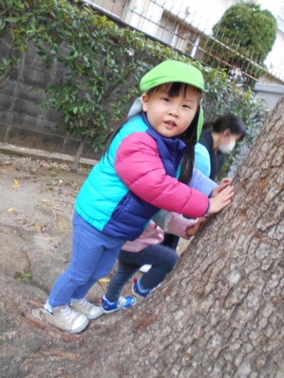 img_20211222-074932.jpg