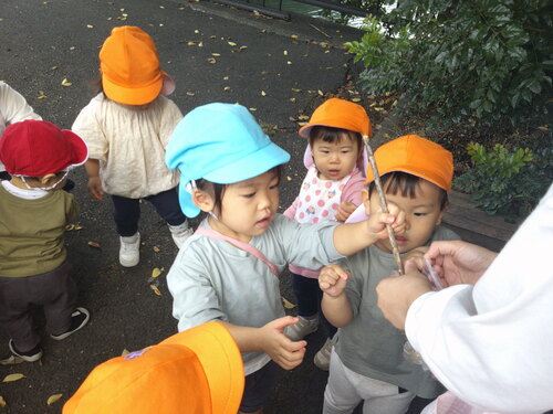 img_20221018-050731.jpg