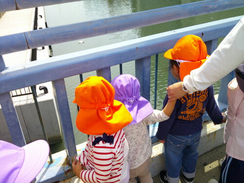 img_20230428-070135.jpg