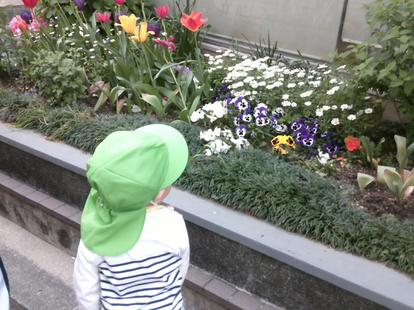 img_20250422-174015.jpg