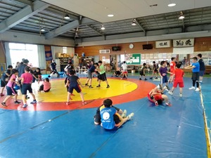 img_20191020-020213.jpg