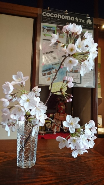 img_20190410-132738.jpg