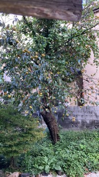 img_20201010-082628.jpg