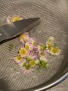 img_20210522-094645.jpg