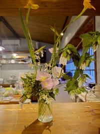 img_20250608-105154.jpg