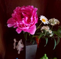 img_20260516-185108.jpg