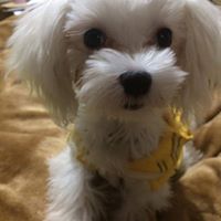 img_20170619-223948.jpg
