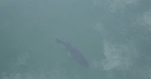 img_20170122-003949.jpg