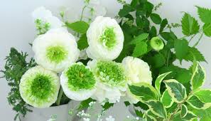 img_20220129-071600.jpg