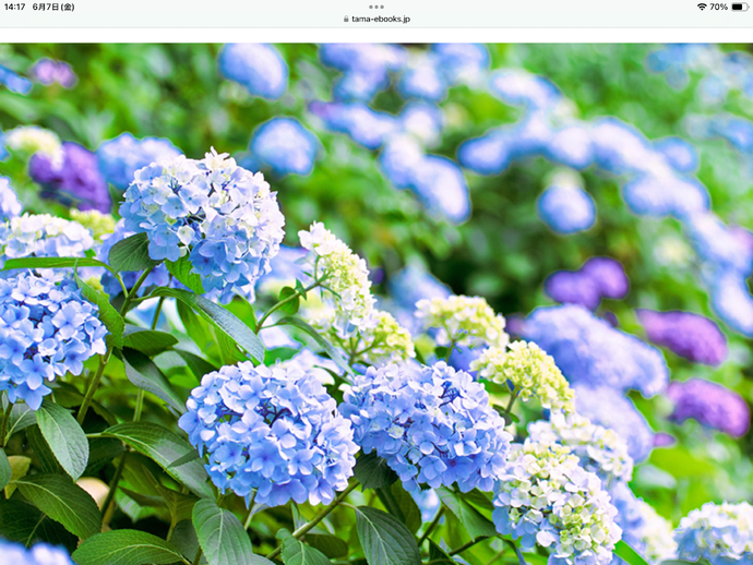 img_20240607-142933.png