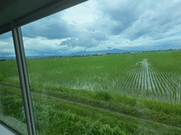 img_20230701-113458.jpg