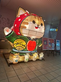 img_20230701-133814.jpg