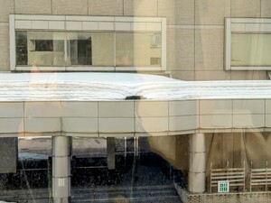 img_20250309-133340.jpg