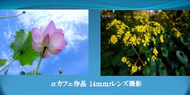 img_20240726-144911.jpg