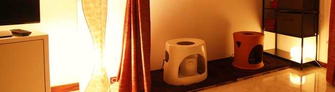 img_20160611-022832.jpg