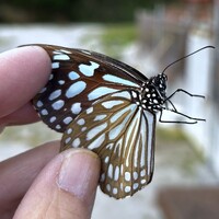 img_20260526-060736.jpg
