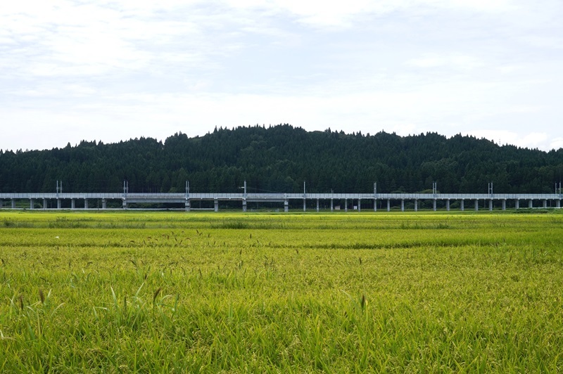 湯ノ沢館跡のある丘陵 湯ノ沢館跡のある丘陵