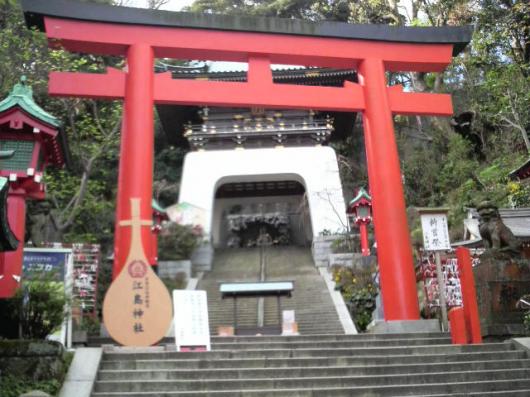 img_20111123-100256.jpg