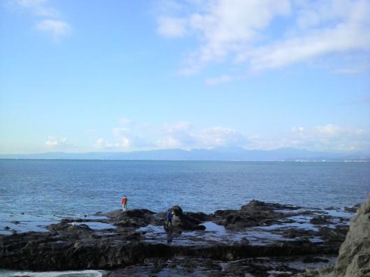 img_20111123-100323.jpg