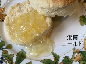 img_20220511-124045.jpg