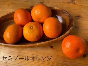 img_20220525-034305.jpg